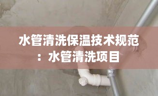 水管清洗保溫技術(shù)規(guī)范：水管清洗項(xiàng)目 