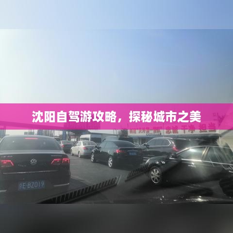 沈陽自駕游攻略，探秘城市之美