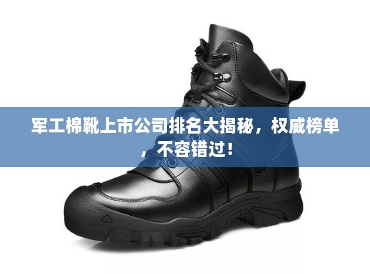 軍工棉靴上市公司排名大揭秘，權(quán)威榜單，不容錯過！