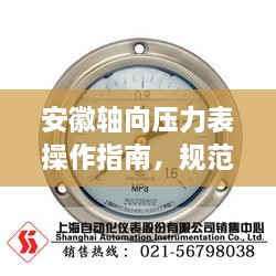 安徽軸向壓力表操作指南，規(guī)范使用，確保安全準(zhǔn)確
