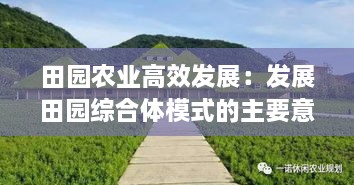 田園農(nóng)業(yè)高效發(fā)展：發(fā)展田園綜合體模式的主要意義 