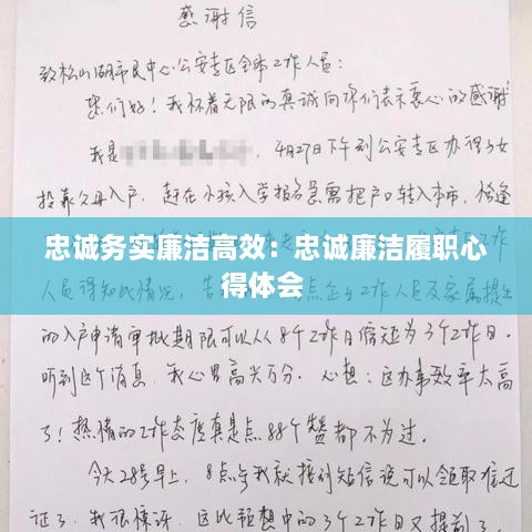 忠誠務(wù)實(shí)廉潔高效：忠誠廉潔履職心得體會 