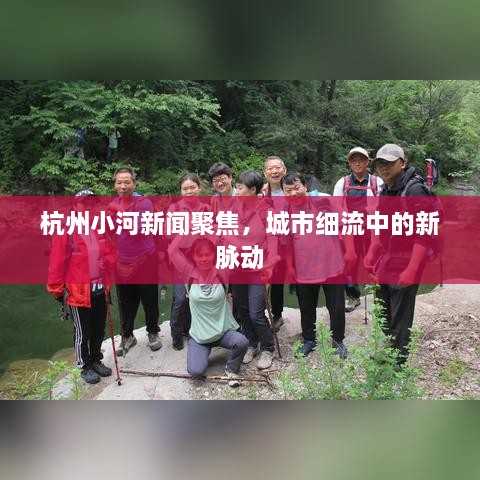 杭州小河新聞聚焦，城市細流中的新脈動