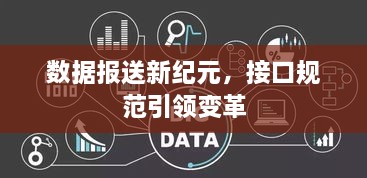 數(shù)據(jù)報送新紀(jì)元，接口規(guī)范引領(lǐng)變革