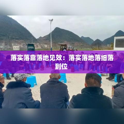 落實落靠落地見效：落實落地落細落到位 