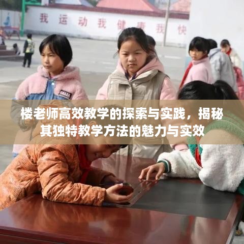 樓老師高效教學的探索與實踐，揭秘其獨特教學方法的魅力與實效