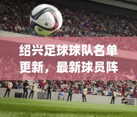 紹興足球球隊名單更新，最新球員陣容一覽