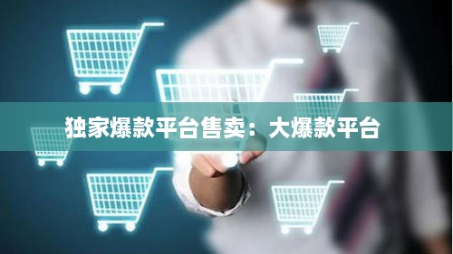 獨家爆款平臺售賣：大爆款平臺 
