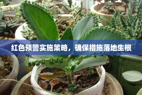 紅色預(yù)警實(shí)施策略，確保措施落地生根