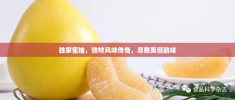 獨(dú)家蜜柚，獨(dú)特風(fēng)味傳奇，盡展美麗韻味
