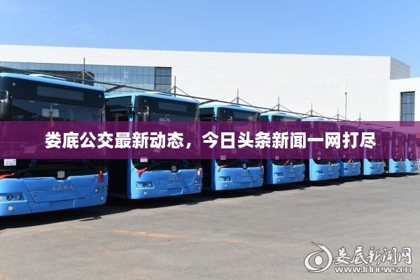 婁底公交最新動態(tài)，今日頭條新聞一網(wǎng)打盡