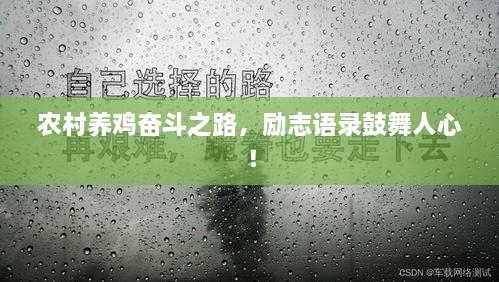 農(nóng)村養(yǎng)雞奮斗之路，勵(lì)志語(yǔ)錄鼓舞人心！