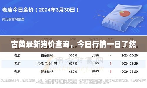 古藺最新豬價查詢，今日行情一目了然