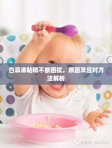 白鼻涕粘稠不斷困擾，原因及應對方法解析