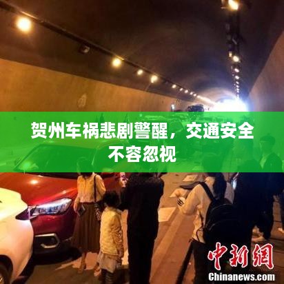 賀州車禍悲劇警醒，交通安全不容忽視