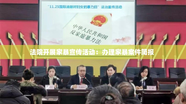 法院開展家暴宣傳活動：辦理家暴案件簡報 