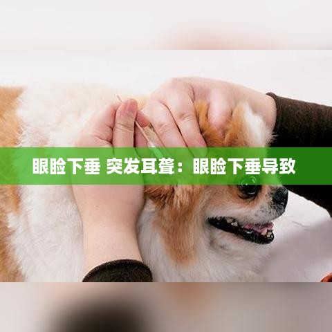 眼瞼下垂 突發(fā)耳聾：眼瞼下垂導(dǎo)致 