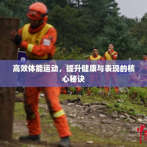 高效體能運動，提升健康與表現(xiàn)的核心秘訣