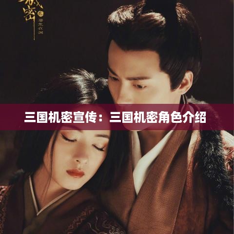 三國(guó)機(jī)密宣傳：三國(guó)機(jī)密角色介紹 