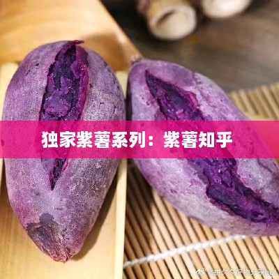 獨(dú)家紫薯系列：紫薯知乎 