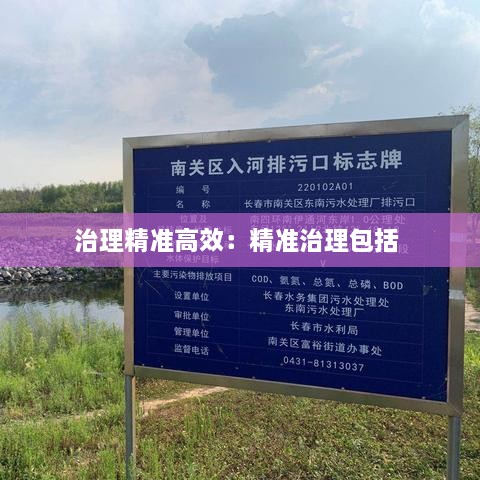 治理精準(zhǔn)高效：精準(zhǔn)治理包括 