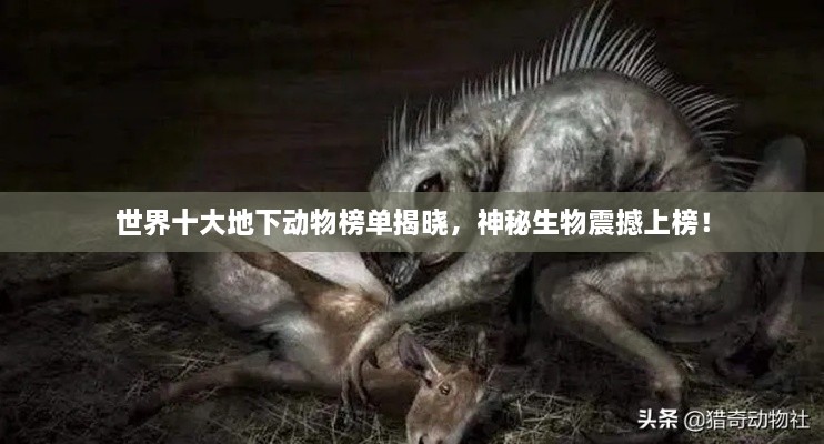 世界十大地下動(dòng)物榜單揭曉，神秘生物震撼上榜！