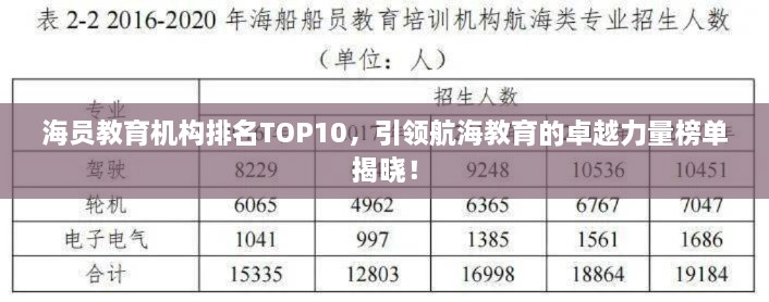海員教育機(jī)構(gòu)排名TOP10，引領(lǐng)航海教育的卓越力量榜單揭曉！