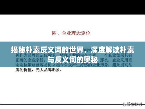 揭秘樸素反義詞的世界，深度解讀樸素與反義詞的奧秘