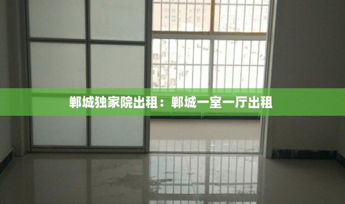 鄲城獨家院出租：鄲城一室一廳出租 