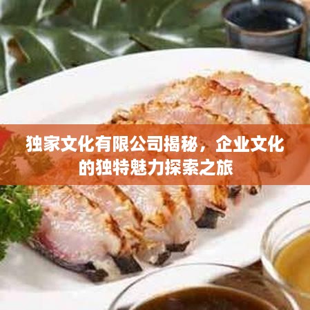 獨家文化有限公司揭秘，企業(yè)文化的獨特魅力探索之旅