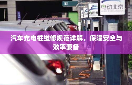 2025年1月26日 第14頁