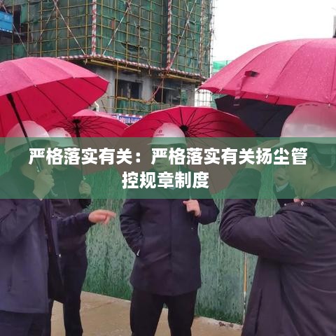 嚴格落實有關：嚴格落實有關揚塵管控規(guī)章制度 