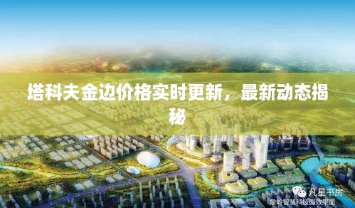 塔科夫金邊價(jià)格實(shí)時(shí)更新，最新動(dòng)態(tài)揭秘