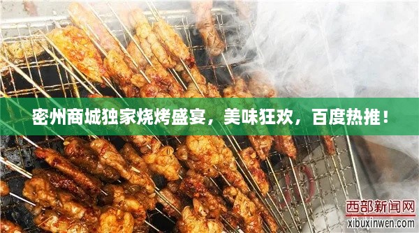 2025年1月27日 第17頁