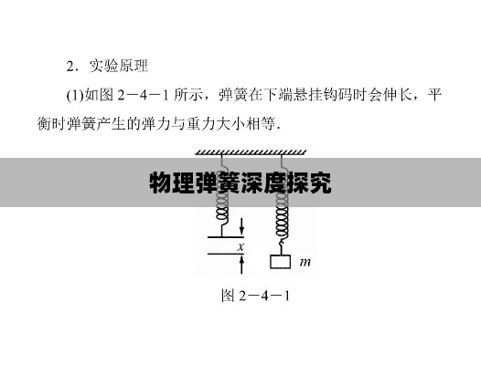 物理彈簧深度探究