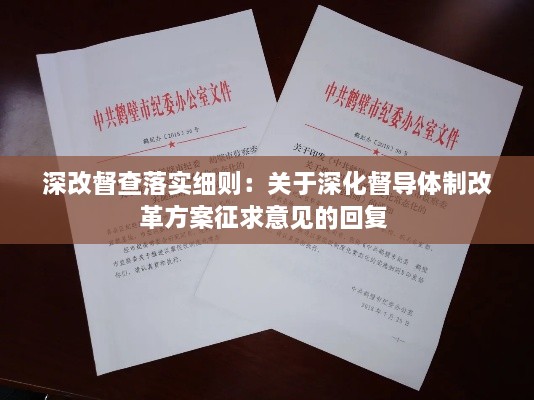 深改督查落實細則：關于深化督導體制改革方案征求意見的回復 