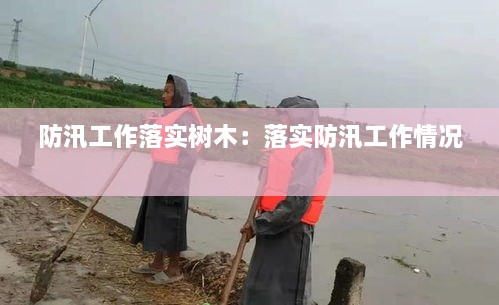 防汛工作落實(shí)樹木：落實(shí)防汛工作情況 