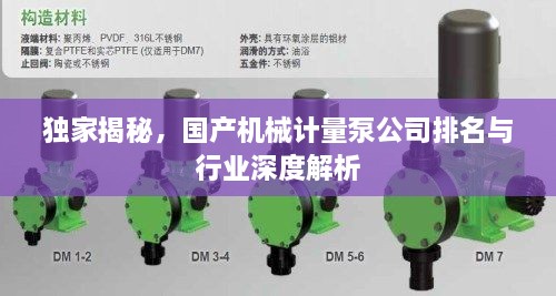 獨(dú)家揭秘，國產(chǎn)機(jī)械計(jì)量泵公司排名與行業(yè)深度解析