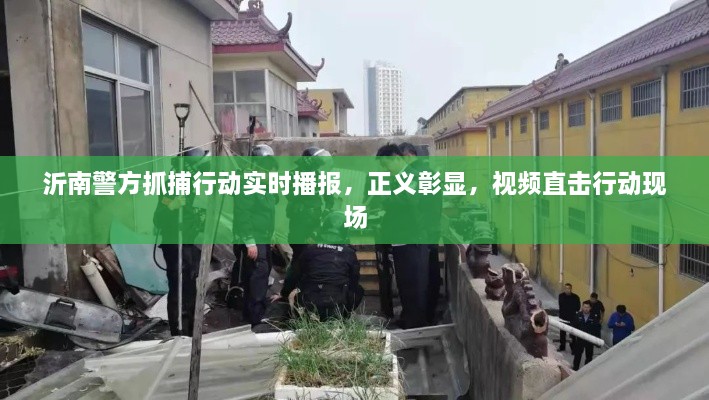 沂南警方抓捕行動實(shí)時播報，正義彰顯，視頻直擊行動現(xiàn)場