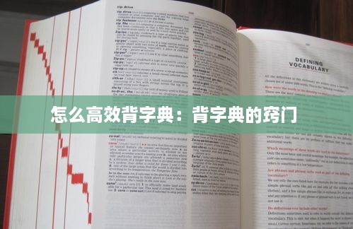 怎么高效背字典：背字典的竅門 