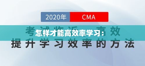 怎樣才能高效率學(xué)習(xí)： 