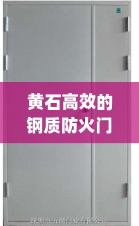 黃石高效的鋼質防火門：防火鋼質防火門廠家 