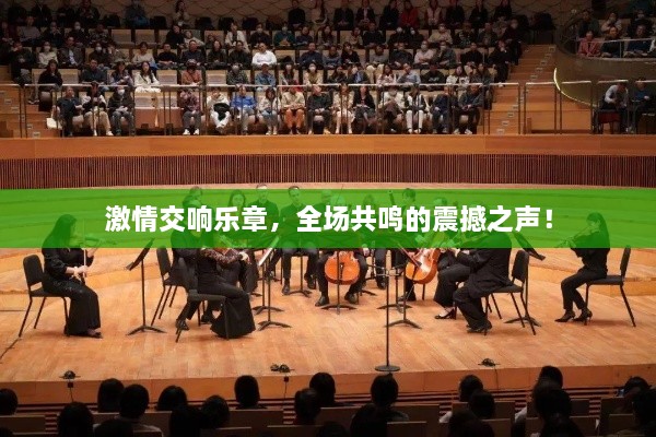 激情交響樂章，全場(chǎng)共鳴的震撼之聲！