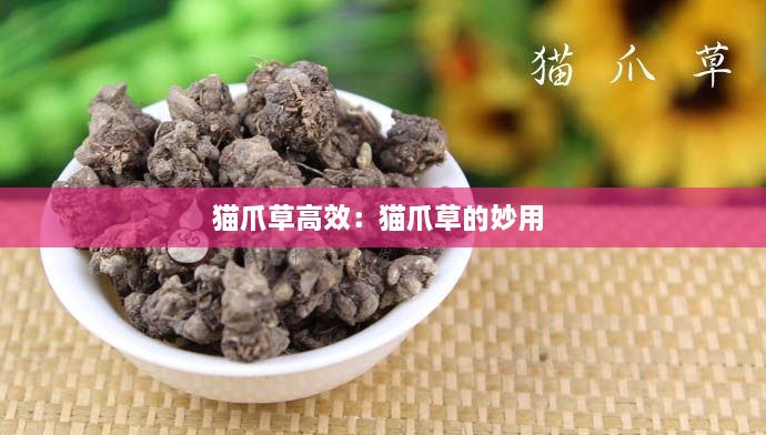貓爪草高效：貓爪草的妙用 