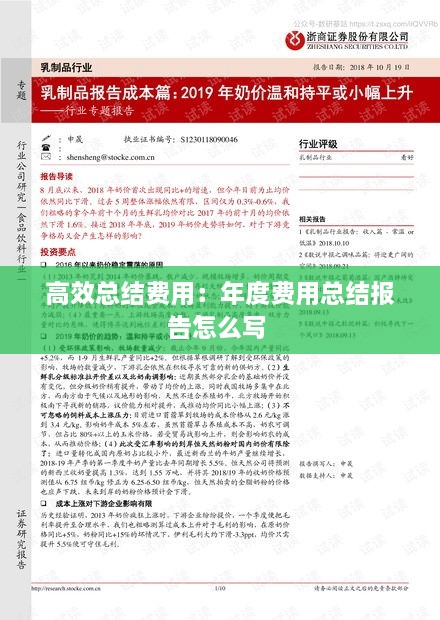 高效總結(jié)費(fèi)用：年度費(fèi)用總結(jié)報告怎么寫 