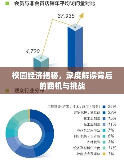 校園經(jīng)濟(jì)揭秘，深度解讀背后的商機(jī)與挑戰(zhàn)