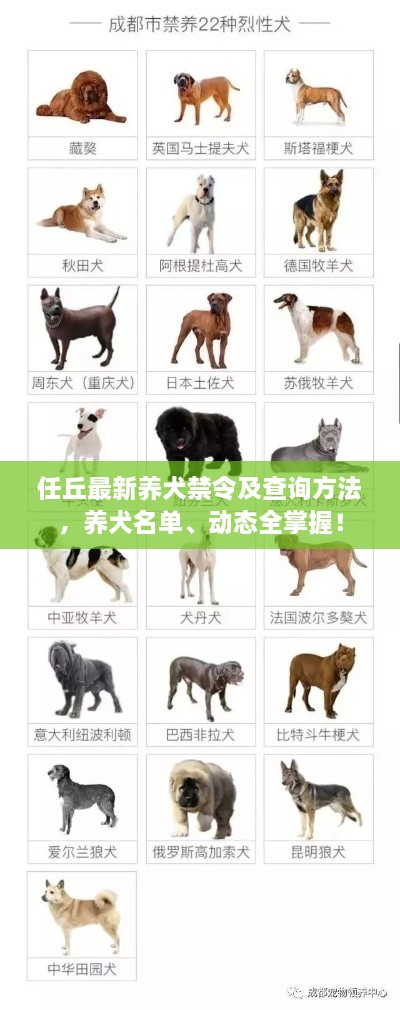 任丘最新養(yǎng)犬禁令及查詢方法，養(yǎng)犬名單、動(dòng)態(tài)全掌握！