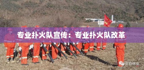 專業(yè)撲火隊(duì)宣傳：專業(yè)撲火隊(duì)改革 