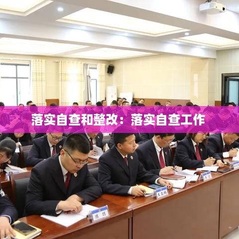 落實自查和整改：落實自查工作 