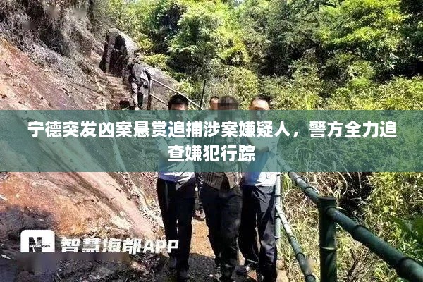寧德突發(fā)兇案懸賞追捕涉案嫌疑人，警方全力追查嫌犯行蹤